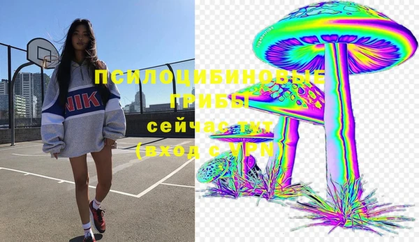 мескалин Богородицк