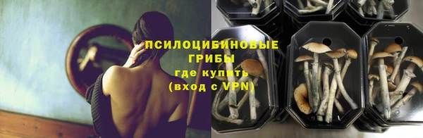мескалин Богородицк