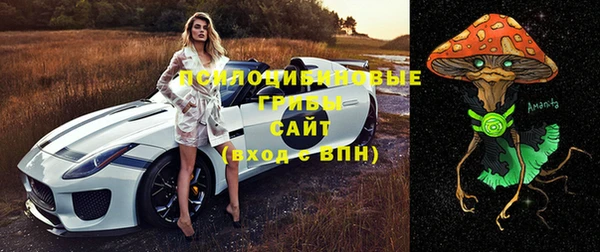 COCAINE Богданович
