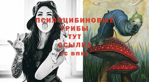 мескалин Богородицк