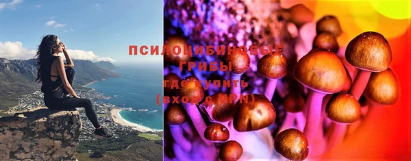 COCAINE Богданович